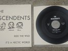 DESCENDENTS Ride The Wild EP original Rare PUNK oop PINSICATO Records 1980 ALL