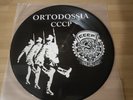 CCCP Loyal to Lp Line - Picture disc Japan (Litfiba Post Punk Diaphragm)
