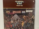 Original Marvin Gaye I Want You LP Album 1976 Tamla Label T6-342S1 NM