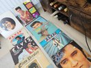 Frank Sinatra, Elvis Presley Vinyl LP Records Job x44