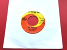 THE THRILLS No One 1966 USA 7