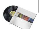 Too Late To Die Young Vinyl Presale