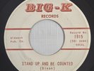 THE WHITE RIDERS DIXIE STAND UP AND BE COUNTED VINYL 7