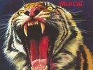 TYGERS OF PAN TANG - Wild Cat 2023 Dutch 180 Gram Vinyl LP New