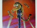 TYGERS OF PAN TANG CRAZY NIGHTS MCA VIM6273 Japan INSERT VINYL LP