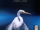 Angel Dust (Vinyl) (Deluxe Edition) by Faith No More [VINYL]