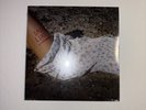 Selena Gomez Vinyl 7” Blue Bad Liar BRAND NEW UNOPENED SHIPS FAST