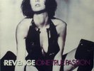 LP - REVENGE (I- ONE TRUE PASSION Peter Hook (New Order, Joy Division) UK New