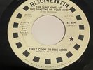 First Crow To The Moon: The Sun Lights Up The Shadows Of Your 45 - Psych Garage