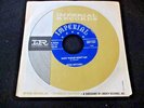 ROSE MITCHELL - Baby Please Don't Go - 45 rpm - Imperial 5260 VF++ WOW