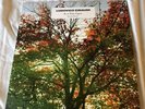 LUDOVICO EINAUDI - IN A TIME LAPSE (3 LP) vinyl classical