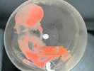 Gideon Jackson / Tungan Gencel – Acid For Tea / Creatures Vinyl Record