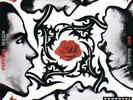 RED HOT CHILI PEPPERS - BLOOD SUGAR SEX MAGIK - 12