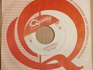 FRINGE Plastic People/Nancy Brown Garage/Psych 45 Haunted, Munks, Ugly Ducklings