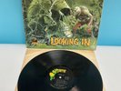 Savoy Brown LOOKING IN 1976 Gatefold LP *Parrot PAS71042