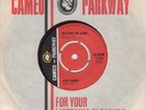 Evie Sands Picture Me Gone Cameo Parkway C413 Soul Northern Motown