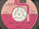 Funk / Soul 45 - Sunday - Where Did He Come From - Alteen - RARE