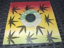 7' Tuff Gong-Johnny Lover & Bob Marley & The Wailers-Sun Is Shining -mp3