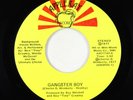70s Soul 45 - Wanda McDaniel & Ultimate Choice - Gangster Boy - Appleray