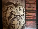 Mother Love Bone Apple Vinyl