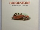 Bloodstone / Natural High 1972 Vinyl LP VG++ Club Edition Record Album Funk