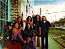 LYNYRD SKYNYRD on LP 