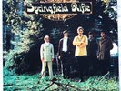 SPRINGFIELD RIFLE - SELF-TITLED (original Burdette label)