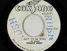 Reggae 45 - Horace Andy/Jackie Mittoo - Got To Be Sure - Coxsone Jamaica