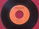 THE YOUNG ONES TOO MUCH LOVIN/HARBOR MELONS (1967) RARE GARAGE ROCK 45 VG+