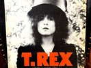 T. Rex - The Slider Vinyl LP [1972] MS 2095