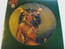 CHER - Take Me Home - Vinyl LP Picture Disc Record Album