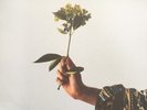 Far Caspian - Between Days (VINYL) - ALT/INDIE *NEW*