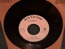 Elvis Presley RCA SP-45-139 Roustabout / One Track Heart WLP Promo 45 1964 RARE
