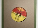 Chuck Berry Johnny Be Good / Run Rudolph Run 7N.25228 Vinyl 7” Record