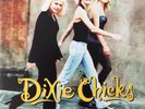 Dixie Chicks ‎– Wide Open Spaces LP - VINYL ALBUM - SEALED NEW RECORD