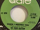 Garage 45. The Chain Reaction “When I Need You”   Stephen Tyler member