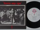 RADIO BIRDMAN Burn My Eye HOLY GRAIL *orig* 1977 OZ 7