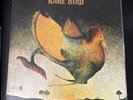 RARE BIRD SELF TITLED LP (1970) PROG ROCK PROBE CPLP-4514
