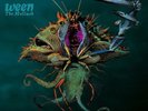 WEEN - The Mollusk  *GREEN VINYL *(Plain Records) LP *NEW RARE*