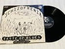 Taste Of Blues Schizofrenia vinyl Rare Psychedelic Record