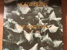 Kate Bush THE SINGLE FILE 1978-1983 vinyl 45rpm numbered limited edition box set
