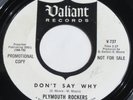 Garage Fuzz 45 - PLYMOUTH ROCKERS - Don't Say Why - VALIANT DJ VG++