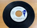 Charlene & The Soul Serenaders LOVE CHANGES 1970 7” Single 45 Volt VOA-4052