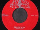 JOHNNY FULLER: black cat / train train blues HOLLYWOOD 7