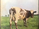 Pink Floyd Atom Heart mother 1st 1970 Uk Harvest Vinyl Lp Shvl 781 no emi box