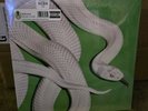 Deftones ‘Private Music’ Lily Pad Green Vinyl LP Hot Topic Exclusive In-hand