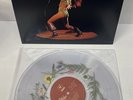 Wolf Alice -The Clearing - Bad World PRESSED FLOWER Filled Vinyl- Rare In Hand