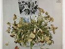 THE CHURLS: “Send Me No Flowers