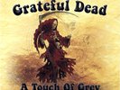 grateful dead A Touch Of Grey (Vinyl)