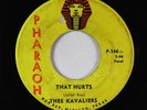 Garage 45 - Thee Kavaliers - That Hurts/Symbols Of Sin - Pharaoh